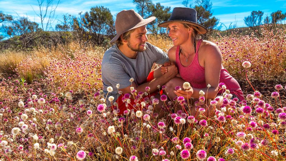 Embark on one of our Pinnacles Day Tours with lobster and lavender farm visits to explore some of the West Coast's most stunning natural areas